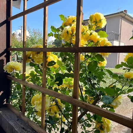 Tatil Evi Casa Dani *