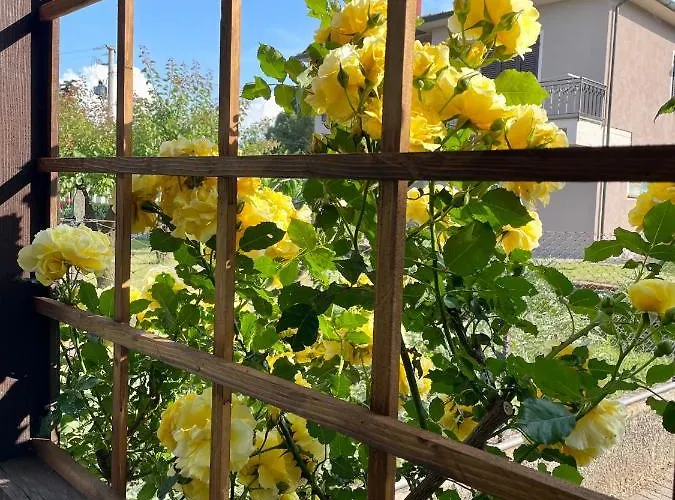 Сasa de vacaciones Casa Dani *